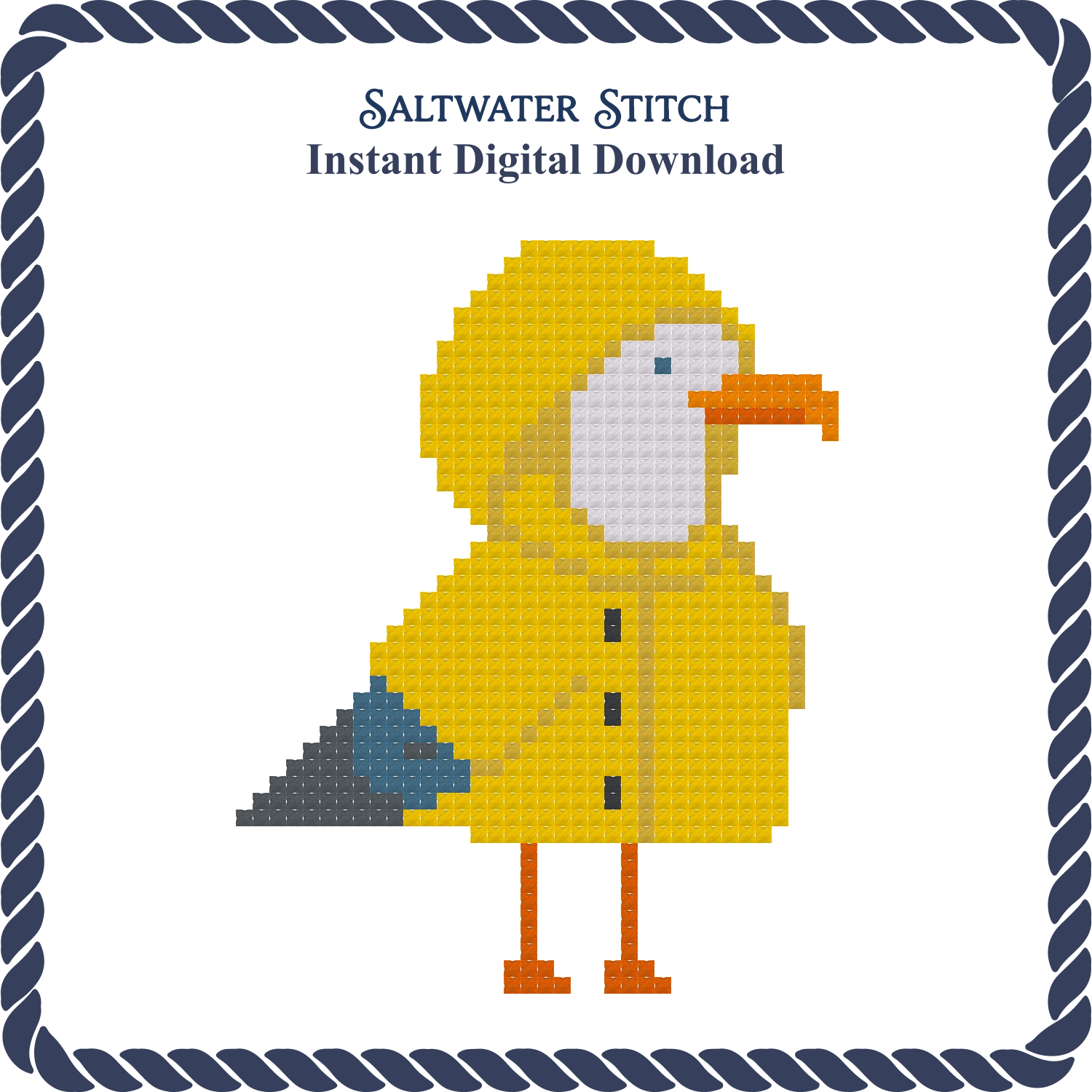 Seagull in a Yellow Slicker