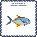 Permit Fish