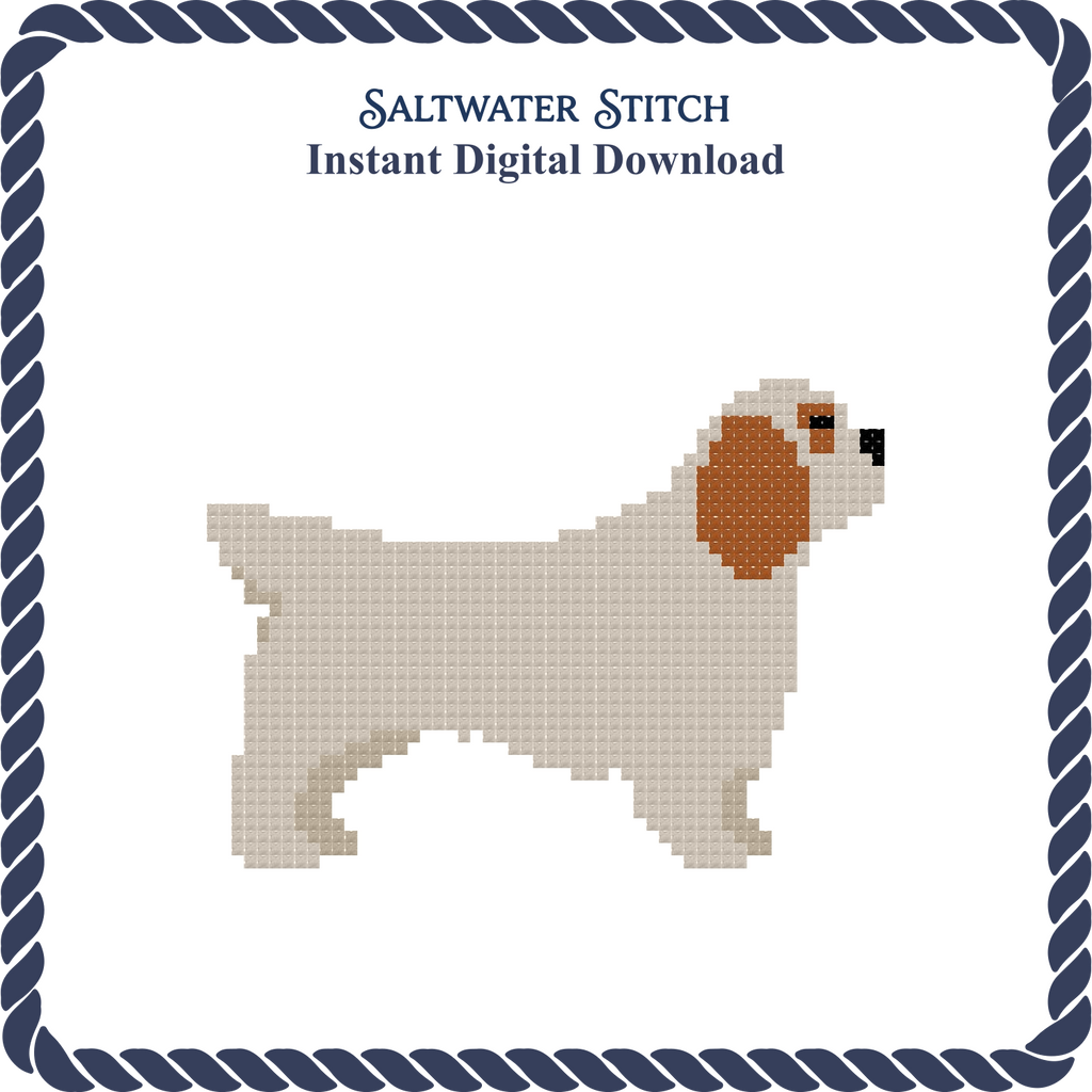 Clumber Spaniel