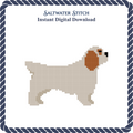 Clumber Spaniel