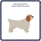 Clumber Spaniel