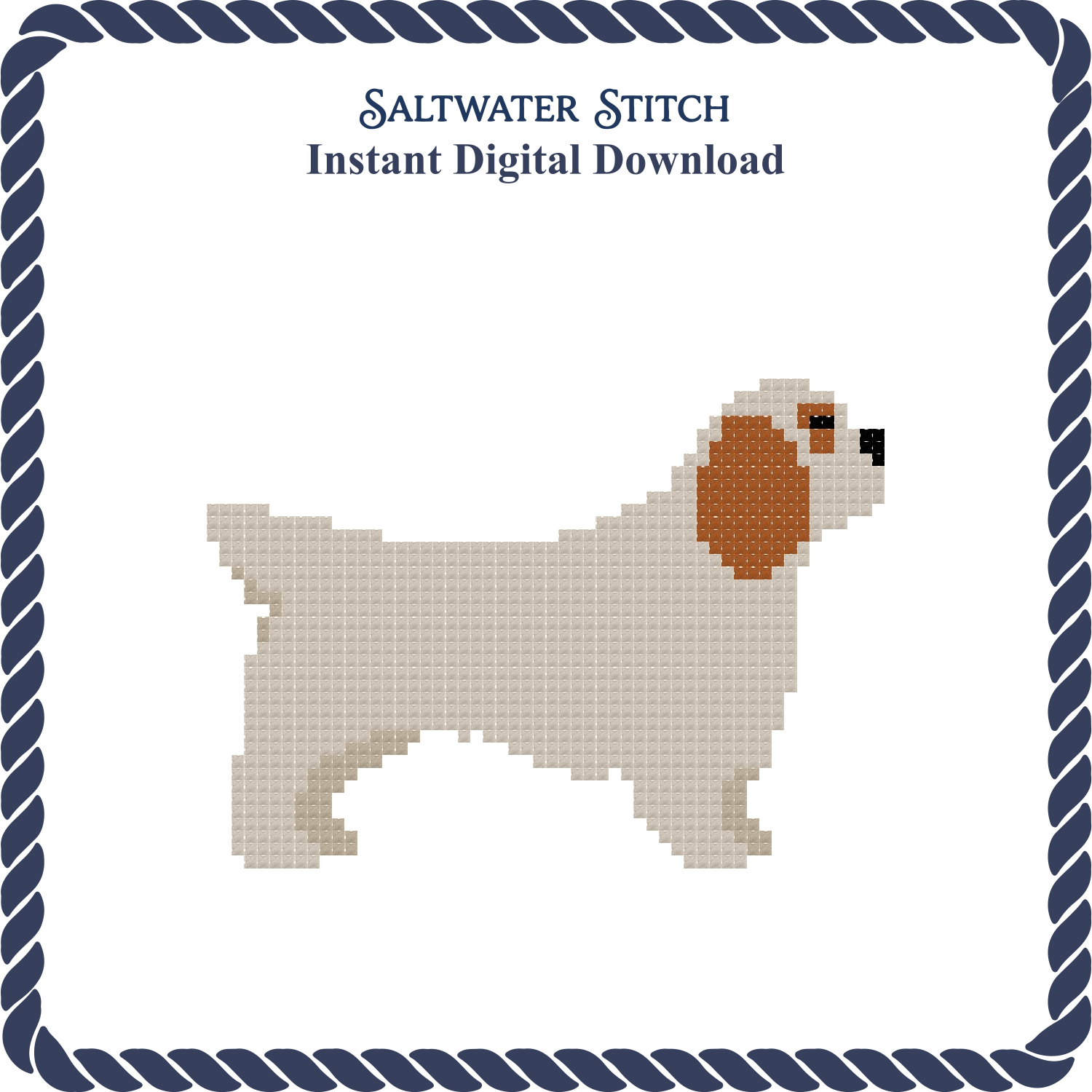 Clumber Spaniel