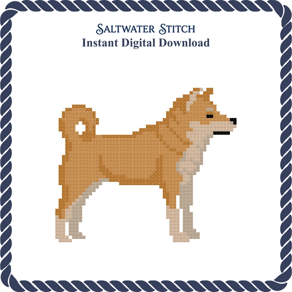 Shiba Inu Dog