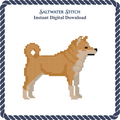 Shiba Inu Dog