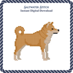 Shiba Inu Dog