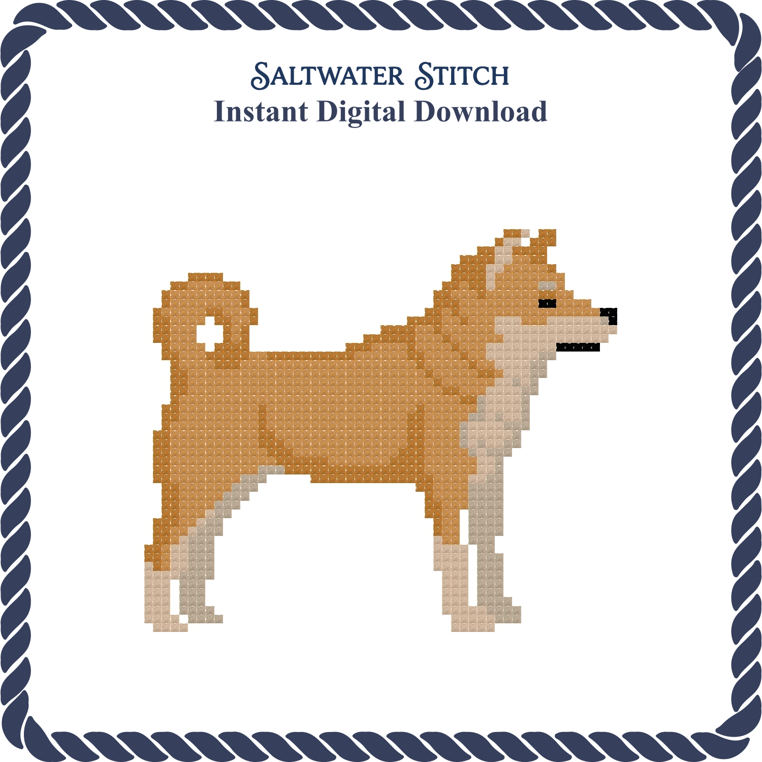 Shiba Inu Dog