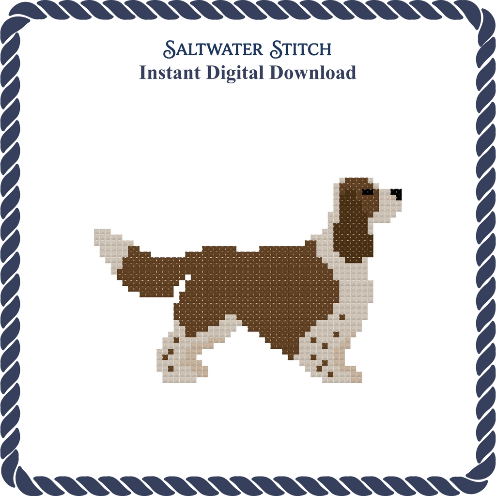 Springer Spaniel