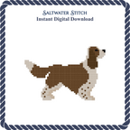Springer Spaniel