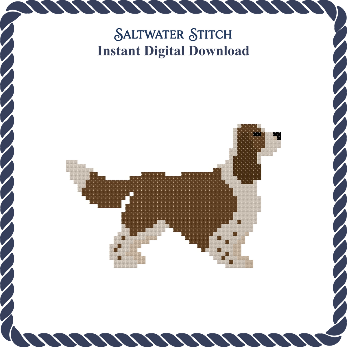 Springer Spaniel