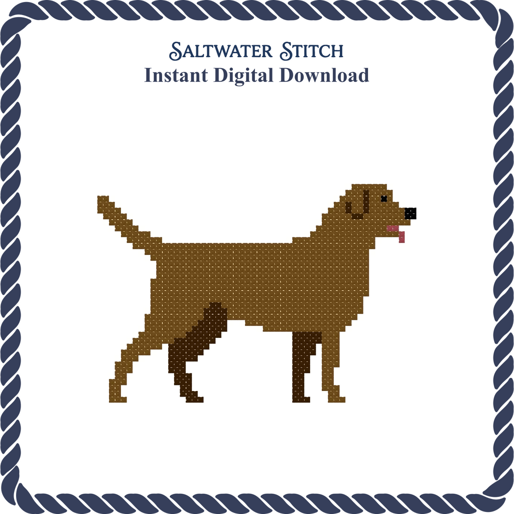 Chocolate Lab Dog