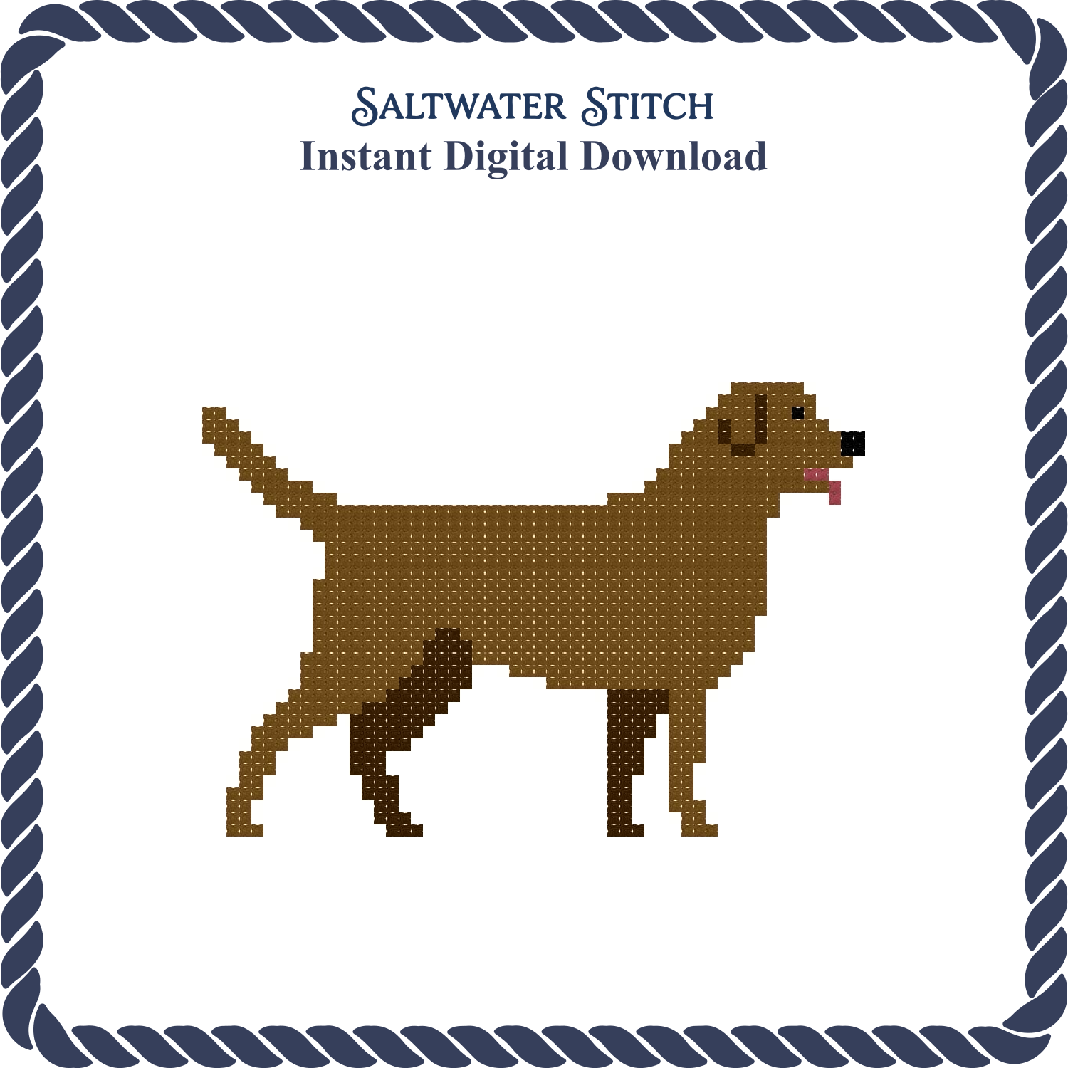 Chocolate Lab Dog