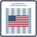 USA Flag on Stripes