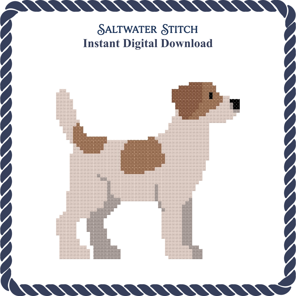 Jack Russell Dog