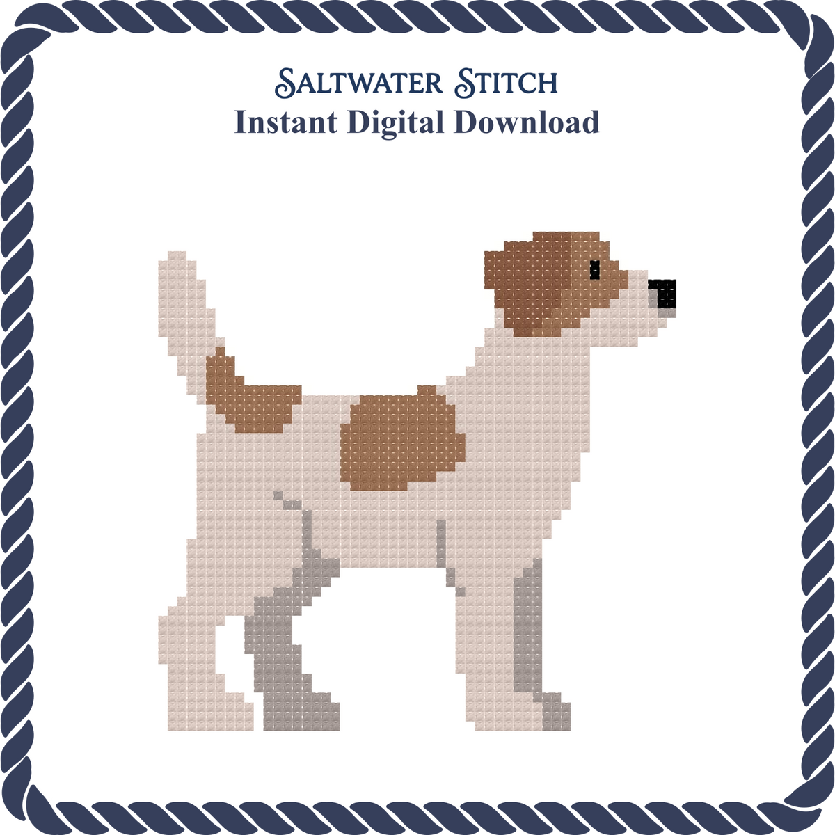 Jack Russell Dog