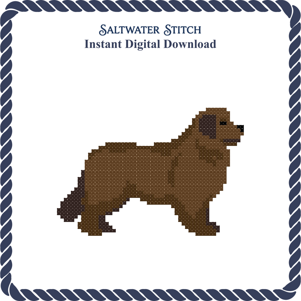 Newfoundland Dog