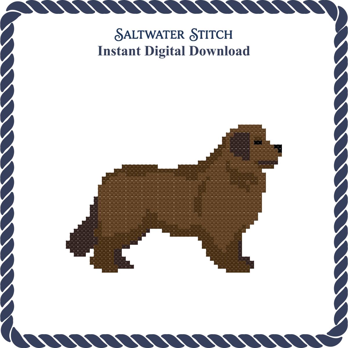 Newfoundland Dog