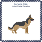 German Shepherd