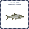 Tarpon Fish