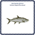 Tarpon Fish