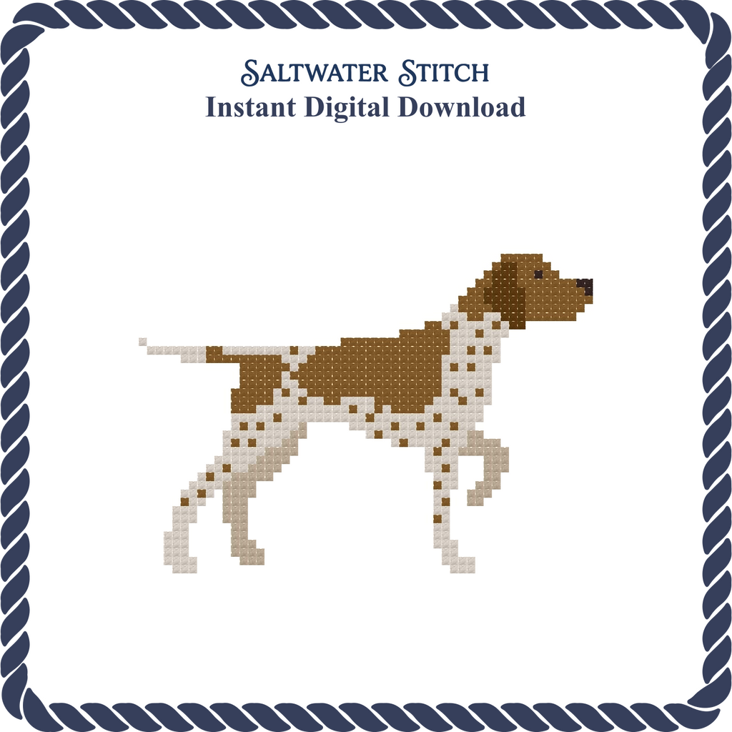 German Shorthaired Pointer
