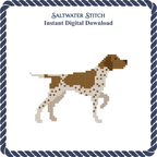 German Shorthaired Pointer