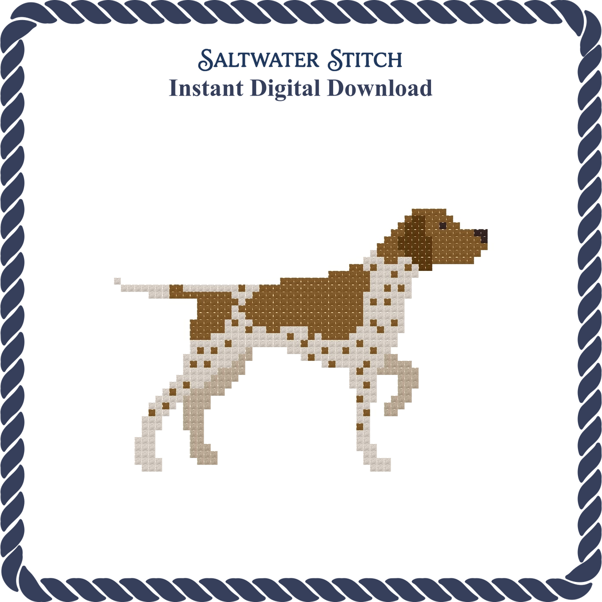 German Shorthaired Pointer