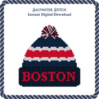 Boston Winter Hat