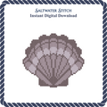 Gray Scallop Shell