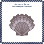 Gray Scallop Shell