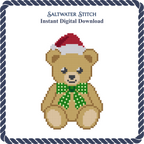 Teddy Bear With Santa Hat
