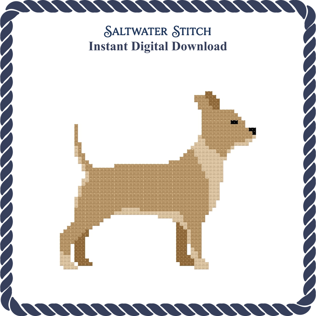 Chihuahua Dog
