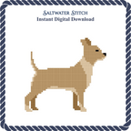 Chihuahua Dog