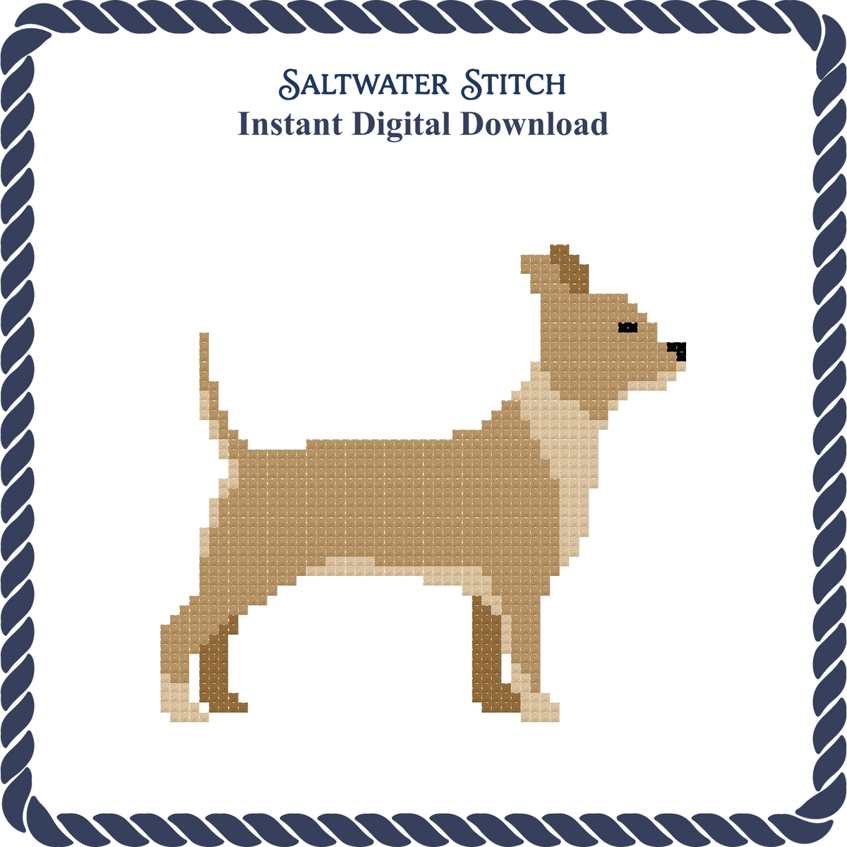 Chihuahua Dog