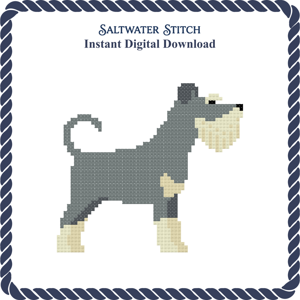 Schnauzer Dog