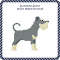 Schnauzer Dog