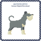 Schnauzer Dog