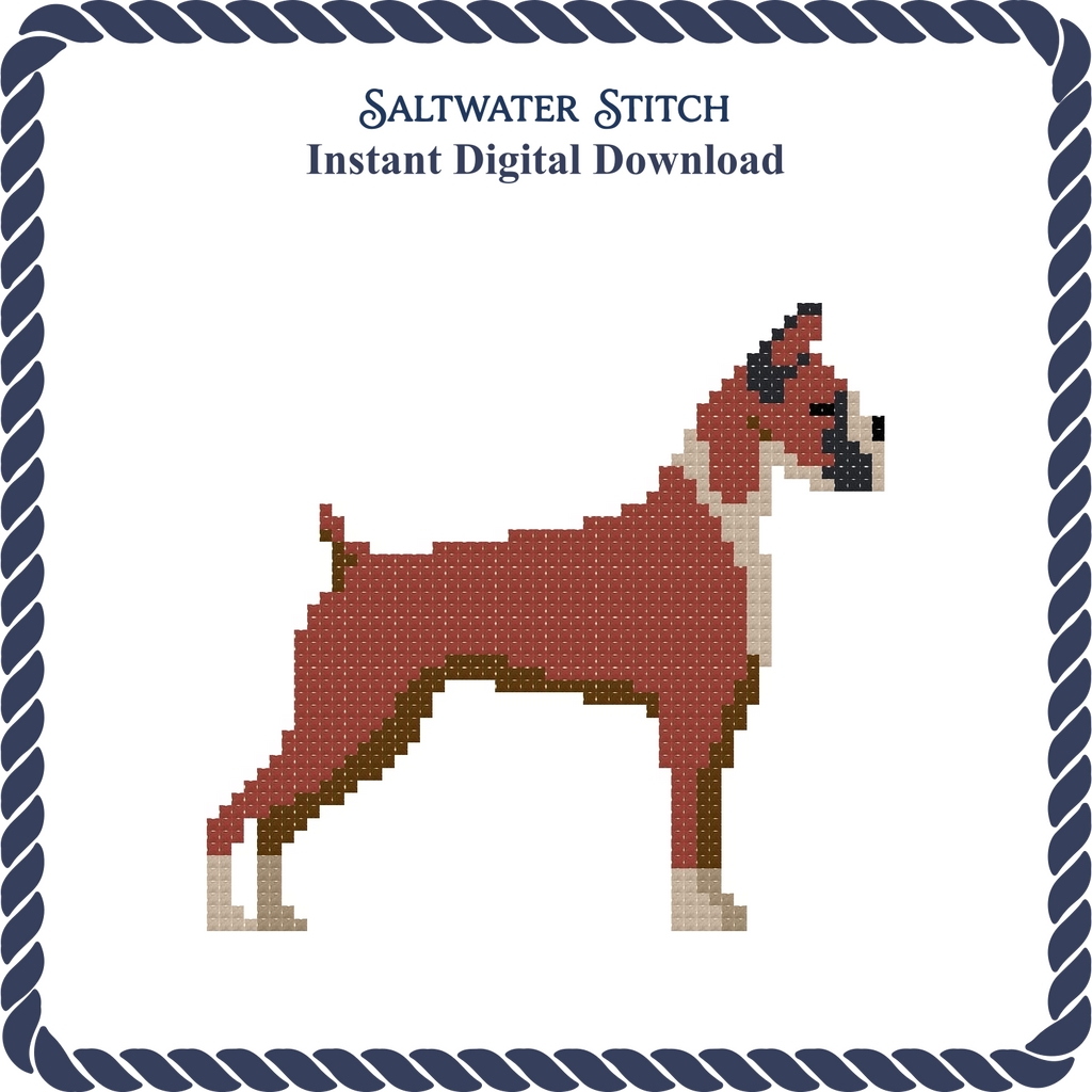 Boxer Dog