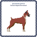 Boxer Dog