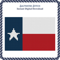 Texas Flag