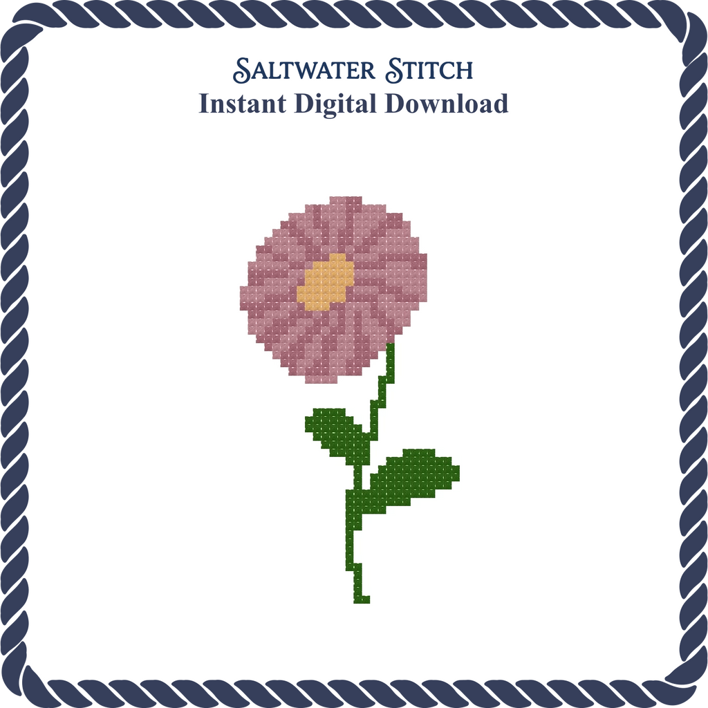 Aster