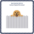Puppy on a Fence