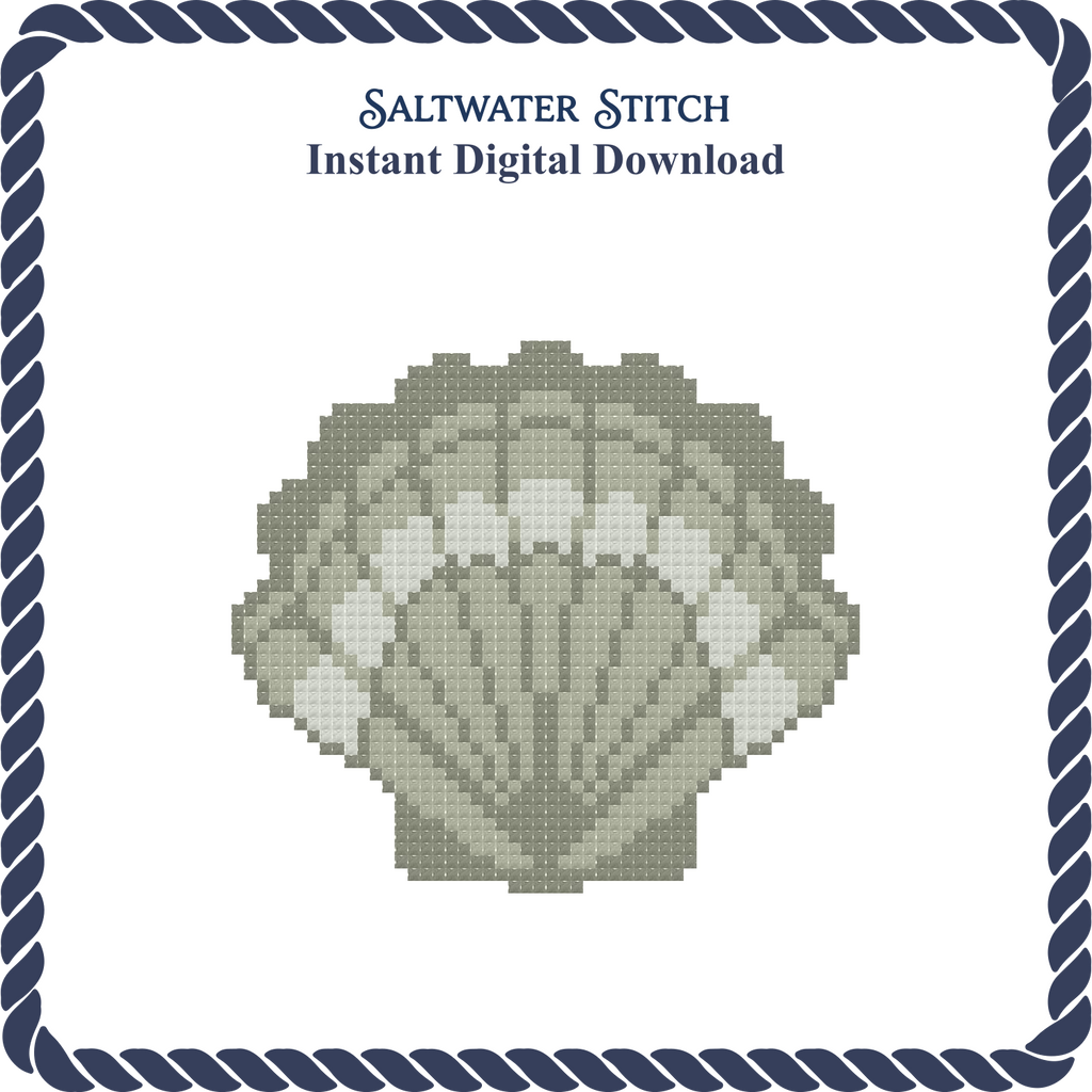Beaver Scallop Shell