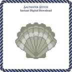 Beaver Scallop Shell