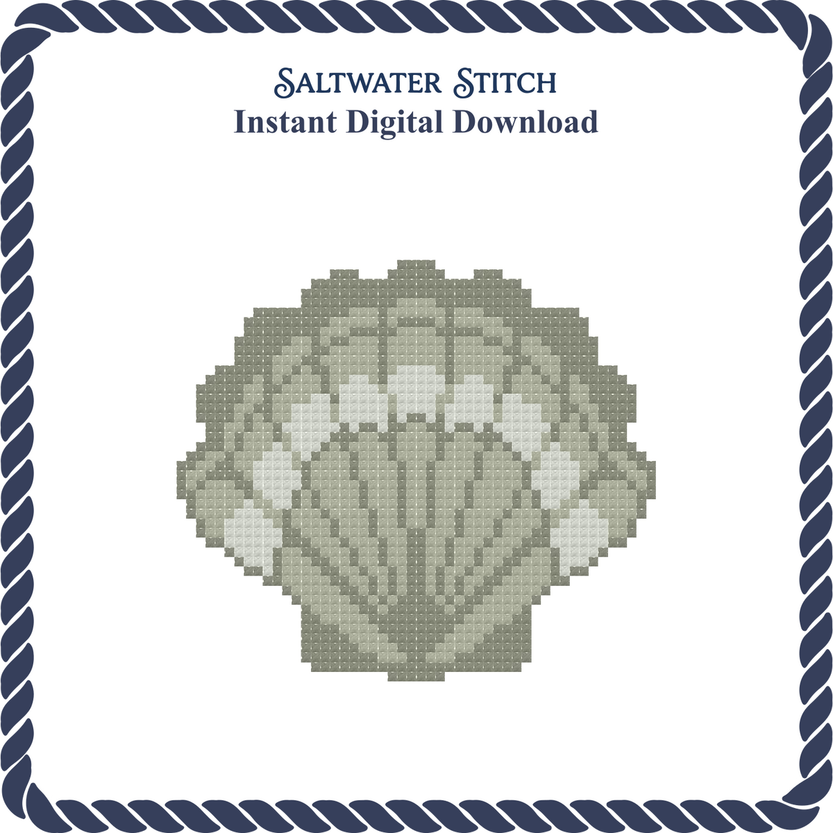 Beaver Scallop Shell