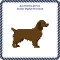Boykin Dog