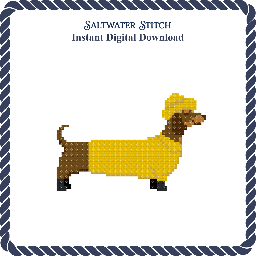 Dachshund in Yellow Jacket