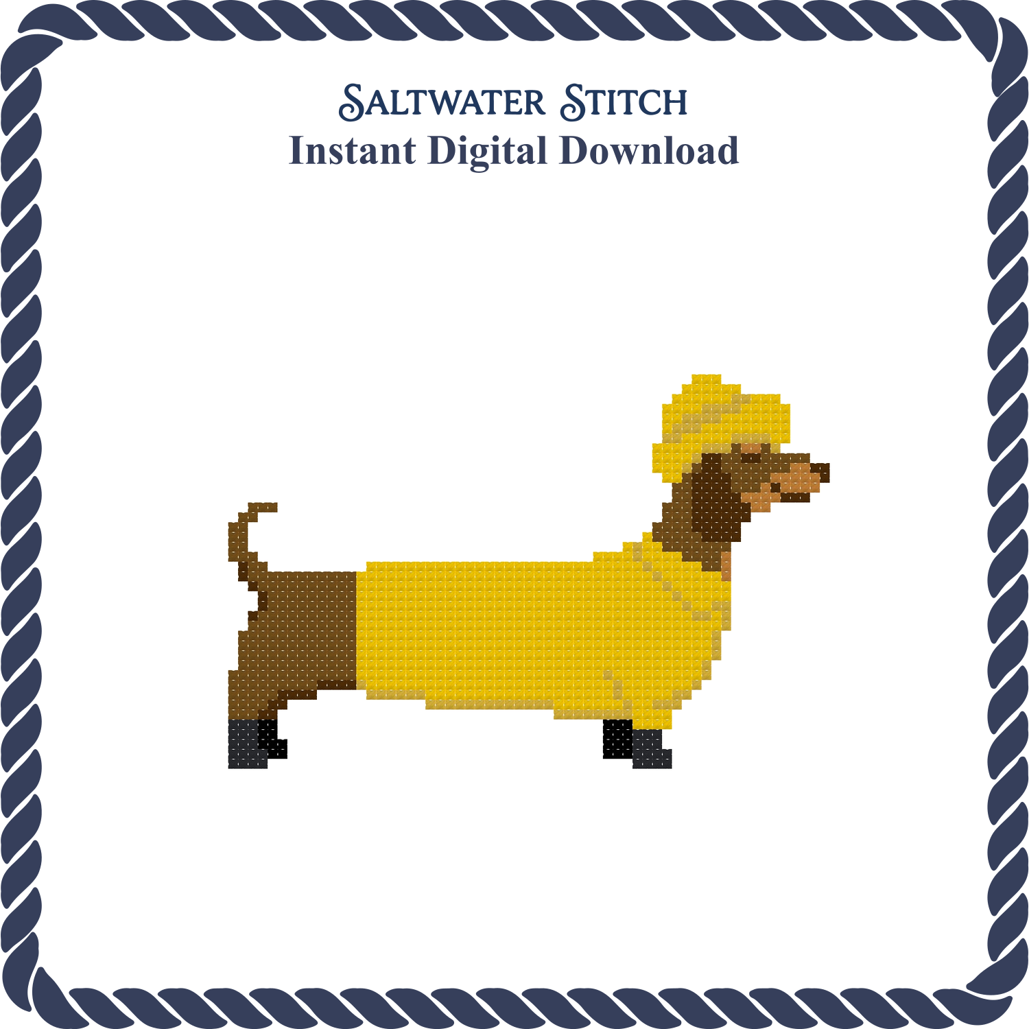 Dachshund in Yellow Jacket
