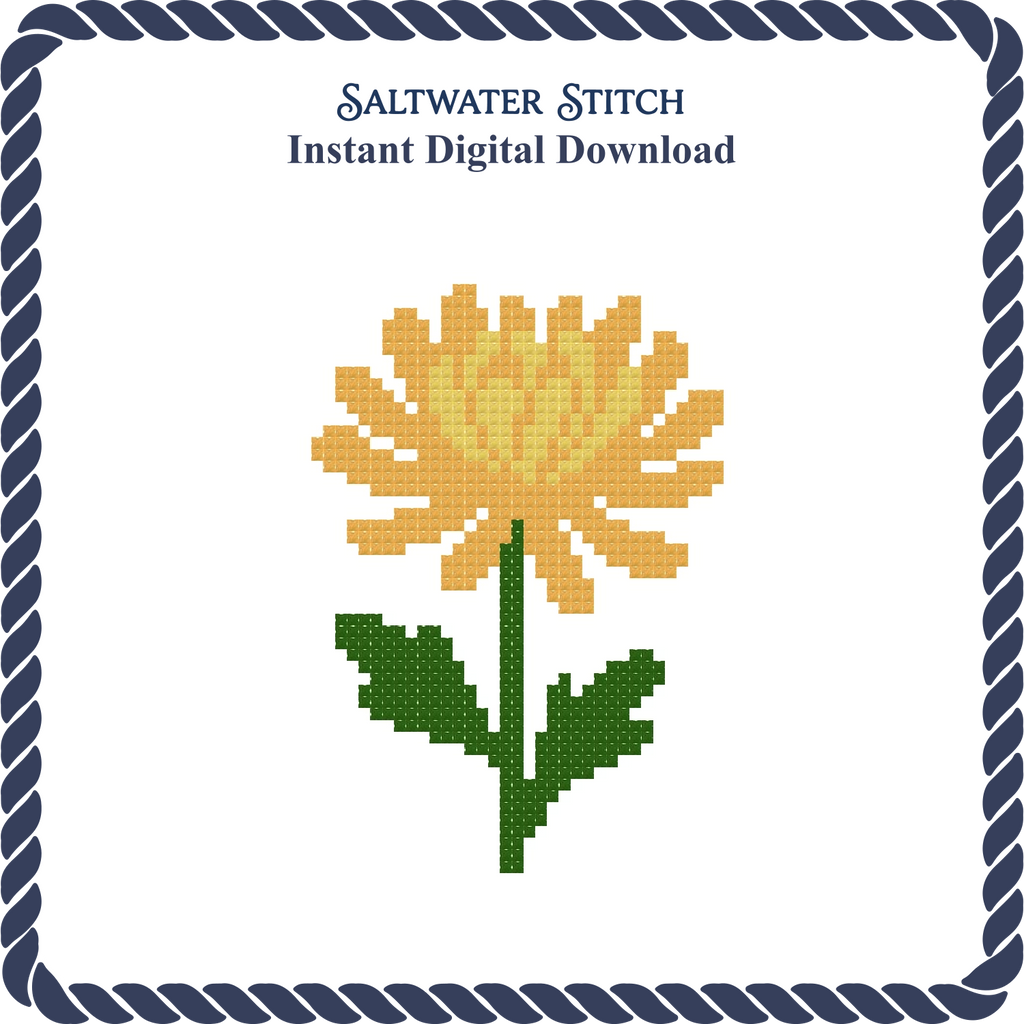 Chrysanthemum