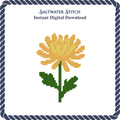 Chrysanthemum