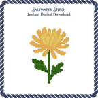 Chrysanthemum